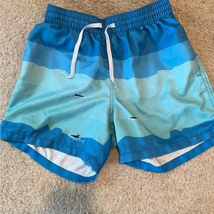 Chubbies Swimtrunks